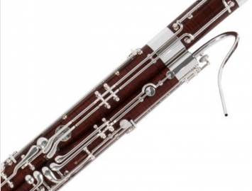 Photo NEW Fox Professional Model 660 Bassoon