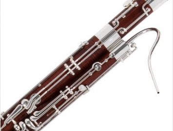 Photo NEW Fox Professional Model II Bassoon