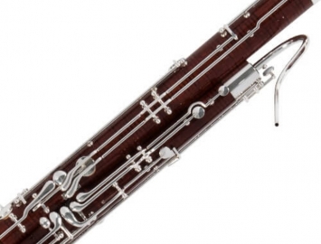 Photo NEW Fox Professional Model 601 Bassoon