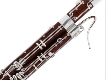 Photo NEW Fox Professional Model 201 Bassoon