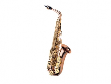 Photo New Yanagisawa AWO2 Series Bronze Alto Saxophone