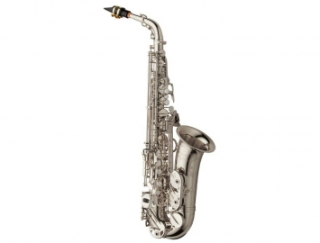 Photo New Yanagisawa AWO10 Series Professional Alto Sax in Silver Plate