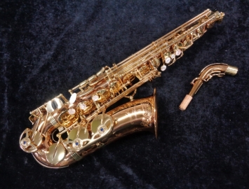 Photo New Yanagisawa AWO20 Series Bronze Pro Alto Saxophone