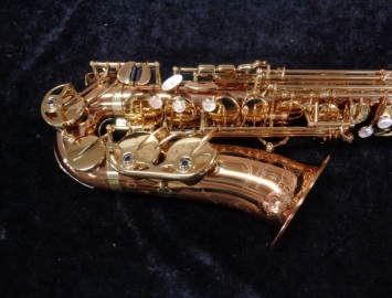 Photo New Yanagisawa AWO20 Series Bronze Pro Alto Saxophone