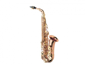 Photo New Yanagisawa AWO20 Series Bronze Pro Alto Saxophone