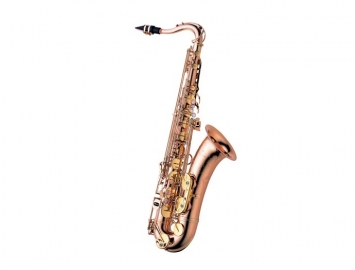 Photo New Yanagisawa TWO2 Series Bronze Tenor Saxophone