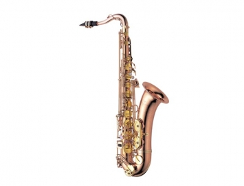 Photo New Yanagisawa TWO20 Series Bronze Pro Tenor Saxophone