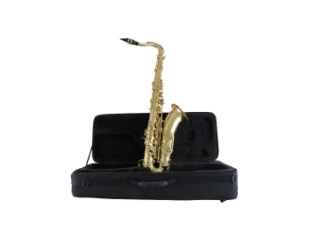 Photo New! Selmer USA STS711 Professional Tenor Saxophone