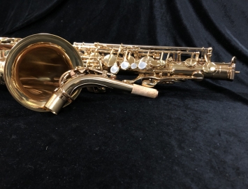 Photo New! Eastman EAS850 Rue St. Georges Alto Saxophone - New Pro Alto!