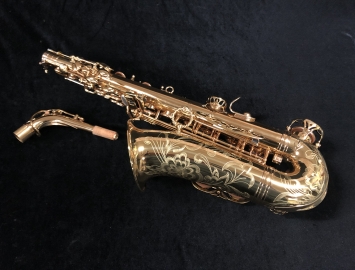 Photo New! Eastman EAS850 Rue St. Georges Alto Saxophone - New Pro Alto!