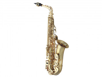 Photo New Yanagisawa AWO1UL Series Unlacquered Professional Alto Sax