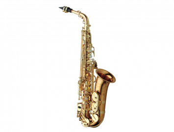 Photo New Yanagisawa AWO20UL Series Unlacquered Bronze Pro Alto Sax