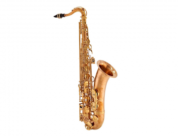 Photo New Yanagisawa TWO2UL Series Unlacquered Bronze Tenor Saxophone