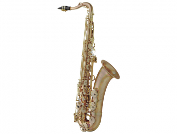 Photo New Yanagisawa TWO20UL Series Unlacquered Bronze Pro Tenor Sax