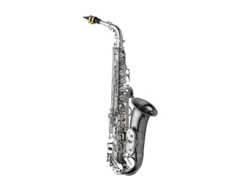 Photo New Yanagisawa AWO20 Series Bronze Pro Alto Sax in Silver Plate