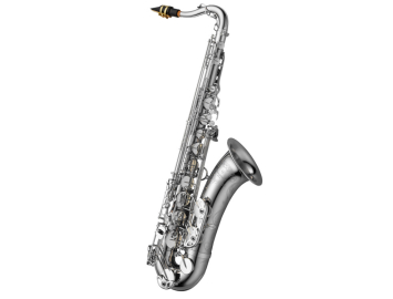 Photo New Yanagisawa TWO20 Series Bronze Pro Tenor Sax in Silver Plate