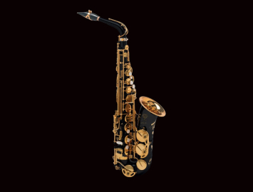 Photo NEW Selmer Paris Signature Series Alto Saxophone in Black Lacquer