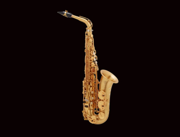 Photo NEW Selmer Paris Signature Series Alto Saxophone in Matte Finish