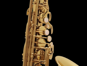 Photo New Selmer SA80 Serie II Jubilee Series Alto Saxophone