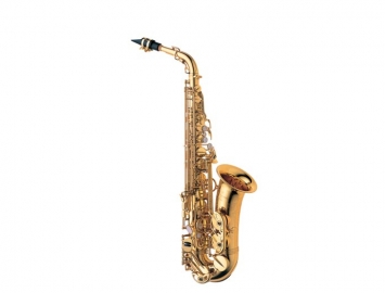 Photo New Yanagisawa AWO10 Series Professional Alto Saxophone